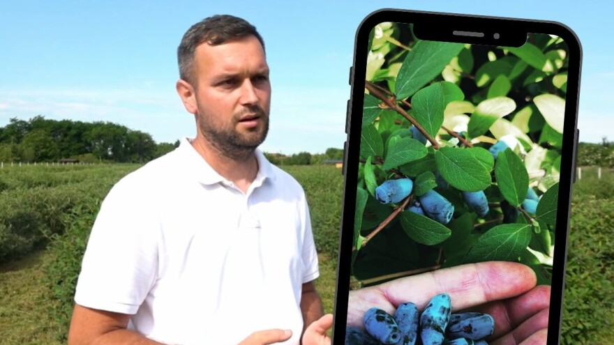 Igor Hrustek: Želim da voćnjak bude samoodrživ. Priroda radi svoje, ja pripomognem