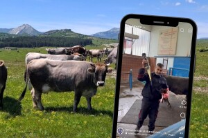 Nova šansa za gatačko goveče: Počela proizvodnja duboko smrznutog sjemena dva bika