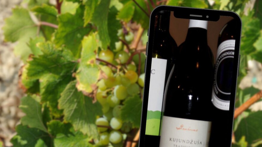 Cvit razgovora: Jubilarno dvadeseto izdanje festivala u čast kujundžuše