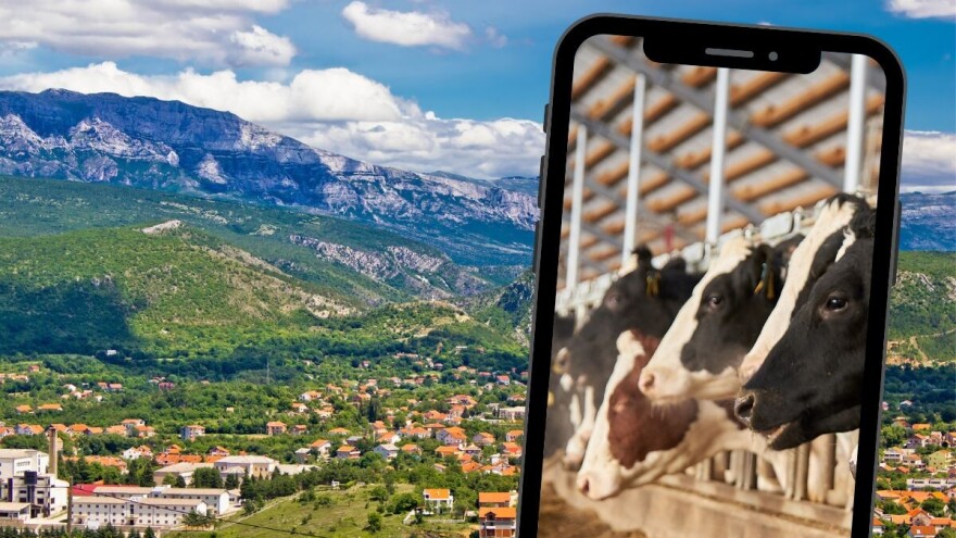 Kraljevski grad za okolna sela nema vode, stočari u šoku: Što ako stoka počne ugibati?