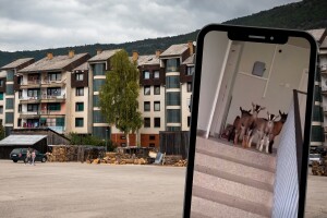 "Biće belaja": Jarići u haustoru zgrade u Drvaru "zapalili" mreže
