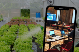 Zašto je tzv. blockchain tehnologija odličan alat za poljoprivrednike?