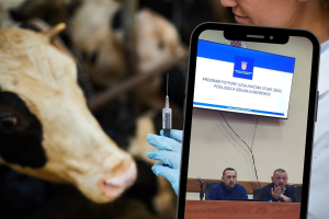 Stočarima pogođenim bedrenicom stižu potpore, u Drnišu pojašnjeni detalji