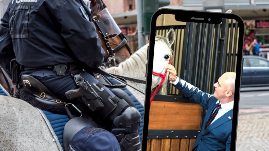 Dabrina ideja o uvođenju konjice u policiju naljutila Prijatelje životinja: Skupo i nerazumno