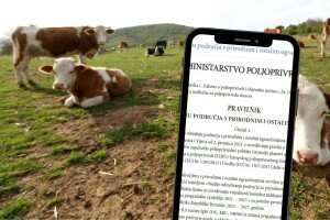 Tko ima pravo na kompenzacijsku potporu? Provjerite i prijavite se do 12. listopada