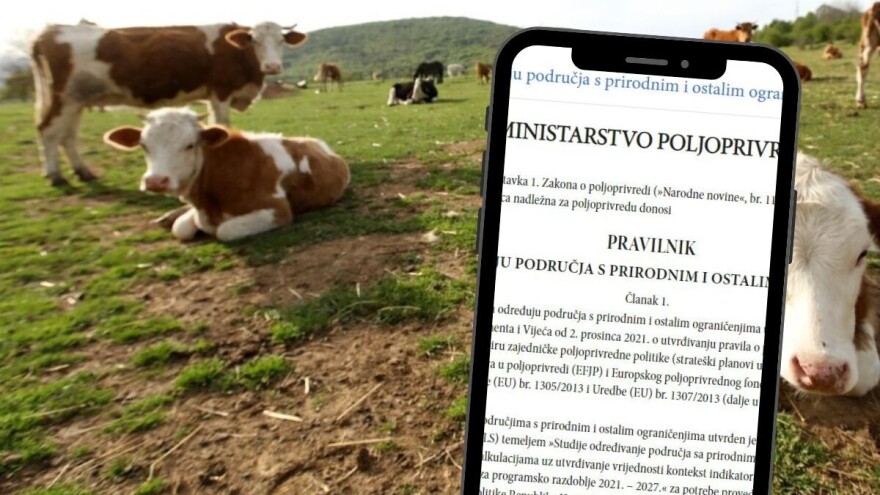 Tko ima pravo na kompenzacijsku potporu? Provjerite i prijavite se do 12. listopada