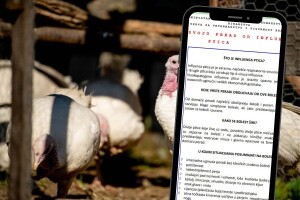 Kako prepoznati i reagirati kod influence ptica? Ministarstvo objavilo informativni letak