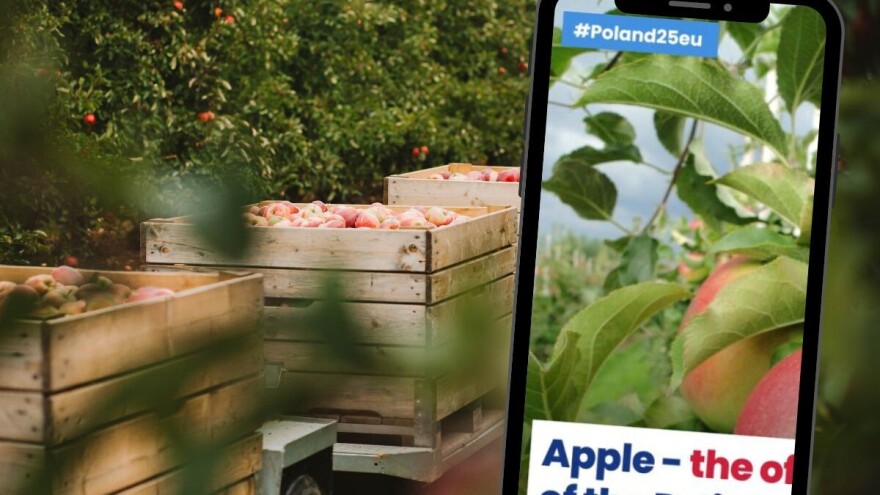Jabuka službeno voće poljskog predsedavanja Savetom Evropske unije