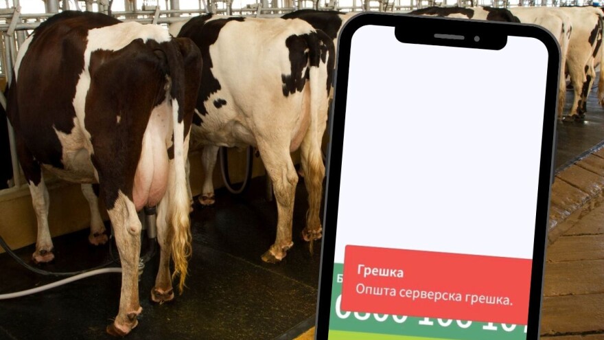 Da li vam je "leglo" 100.000 dinara za prvotelke?