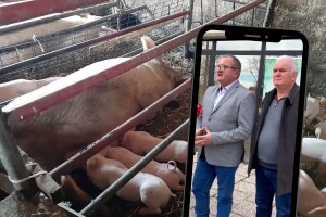 Svinjogojci premijeru: Primite nas, nemamo vremena čekati imenovanje novog ministra