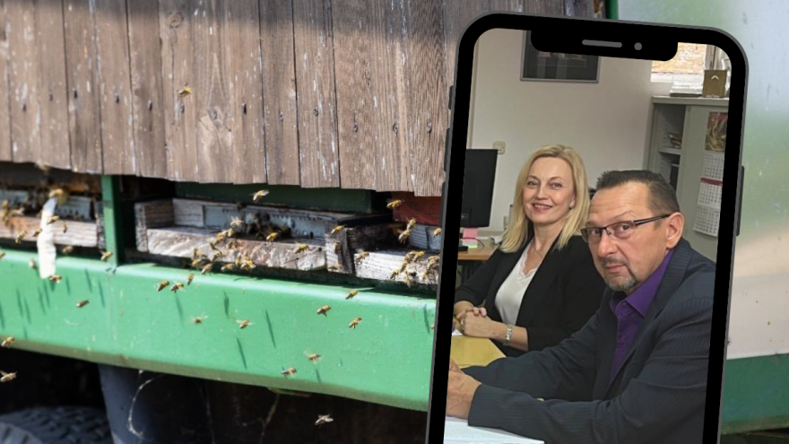 Pčelari upozorili na nelojalnu konkurenciju, država najavljuje jači nadzor