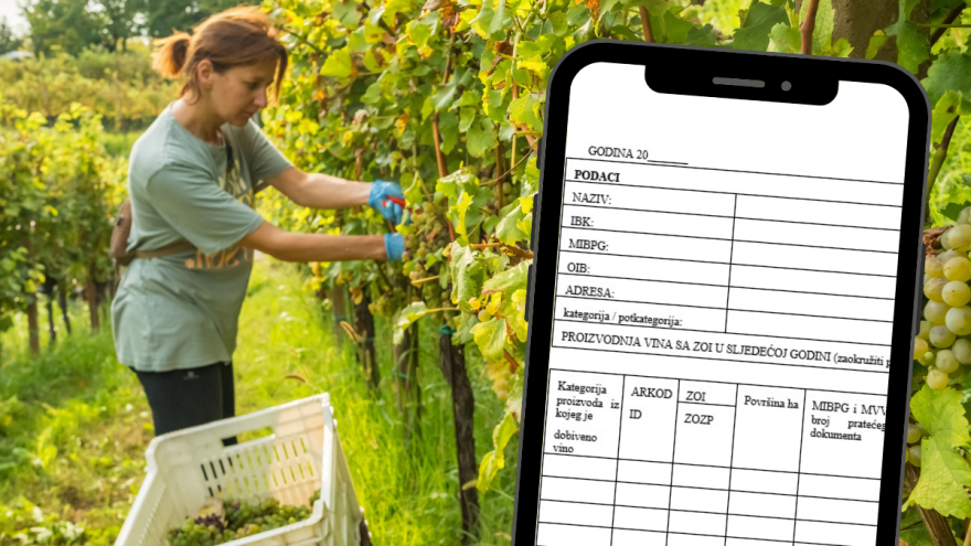 Vinogradari i vinari, provjerite obveze i rokove podnošenja izjava o proizvodnji