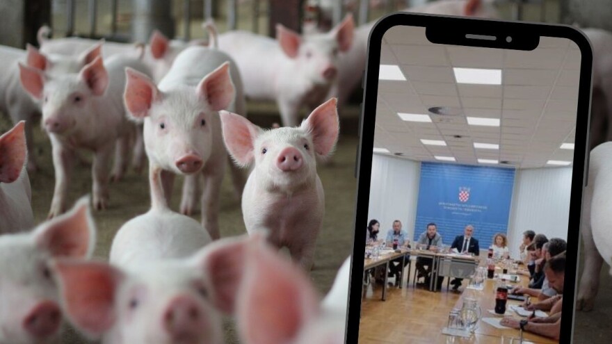 Oporavak svinjogojskog sektora? U Ministarstvu održan sastanak s uzgajivačima