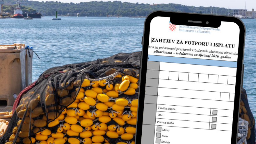 Ribari, zbog skore privremene obustave ribolova imate pravo na potporu, evo kako do nje