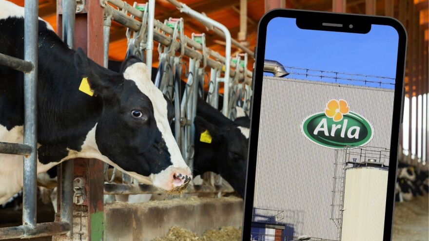 Stvara se najveća mlekarska zadruga u Evropi