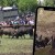 Nezapamćen incident na koridi u Kaknju: Bikovi usred borbe uletjeli među ljude