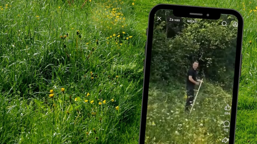 Iz ministarske fotelje u pritvor pa na livadu: "Glumi domaćina, idi begaj"