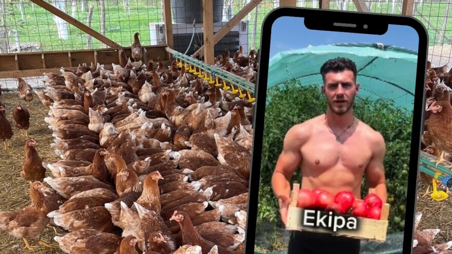 Zdravkov marketinški pogodak: "Ostao sam bez paradajza, imam listu čekanja"