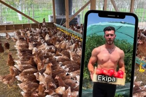Zdravkov marketinški pogodak: "Ostao sam bez paradajza, imam listu čekanja"