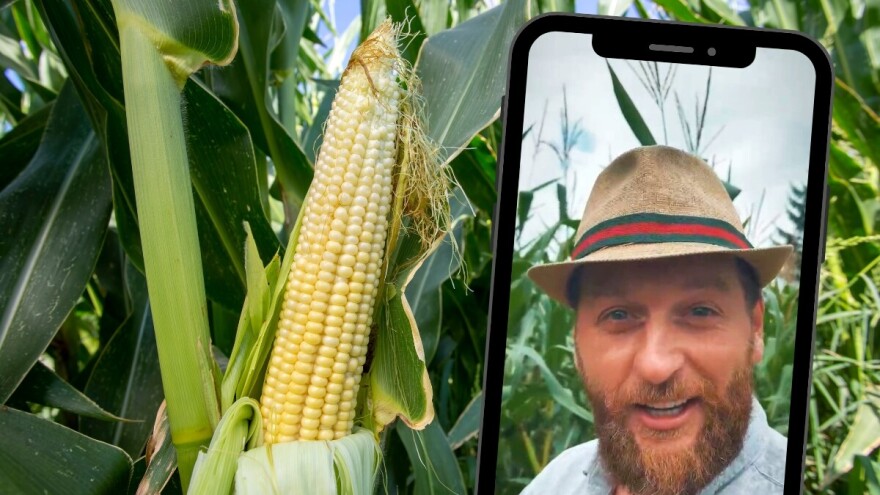 Muris Kudić o slatkim seoskim krađama: "Ko krade državnu imovinu, naravno nećeš prijaviti"