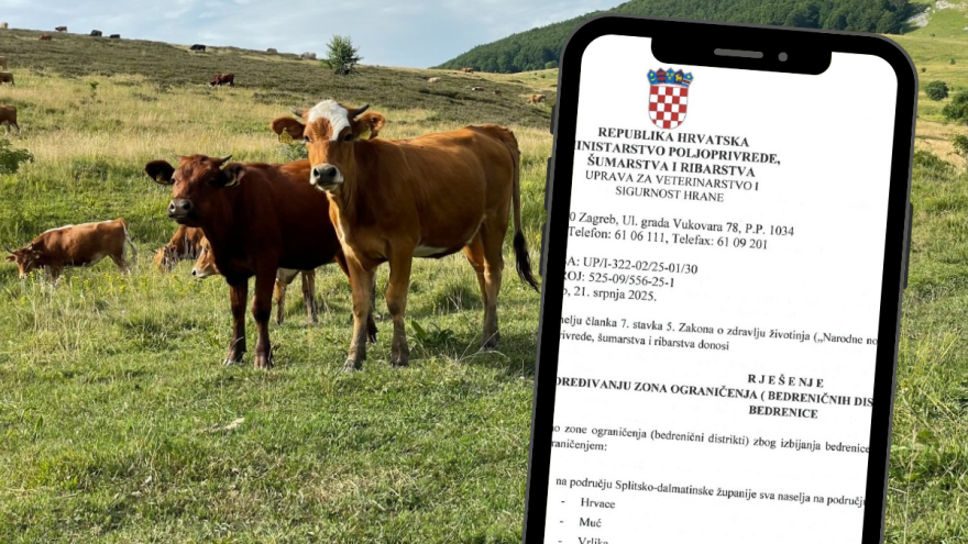 Određeni bedrenični distrikti u dvije županije, evo o kojim općinama je riječ