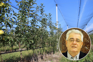 Suhe i sunčane dane treba kvalitetno iskoristiti, evo dokad će potrajati