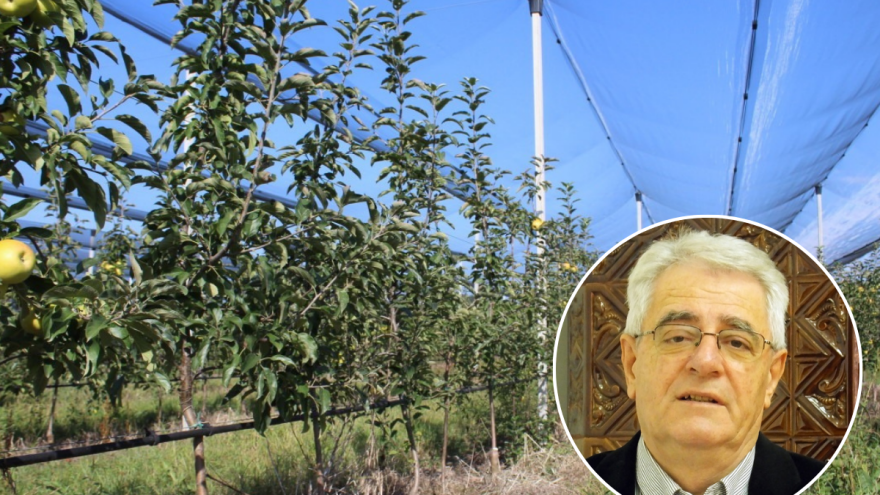 Suhe i sunčane dane treba kvalitetno iskoristiti, evo dokad će potrajati