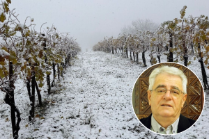 Sveti Andrija kabanice dijeli