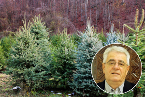 U prvom smo tjednu klimatološke zime, sijanja Sunca će nedostajati