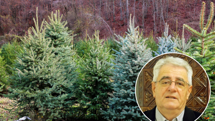 U prvom smo tjednu klimatološke zime, sijanja Sunca će nedostajati