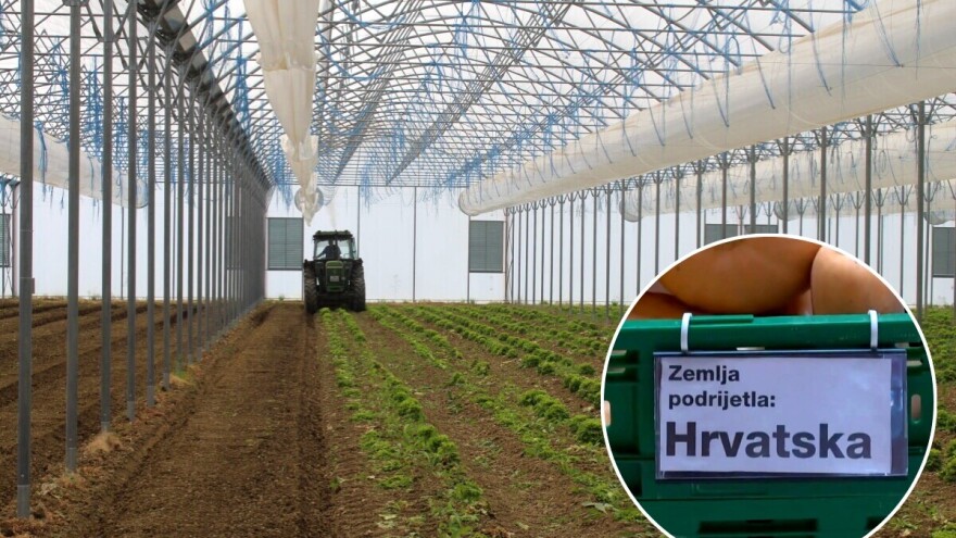 Domaći proizvođači zadovoljni - nova pravila označavanja voća i povrća uvode red na tržište
