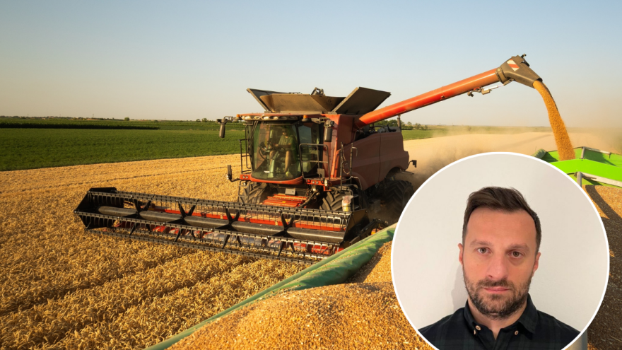 Kraj je godine, gde smo s cenama žitarica i uljarica?