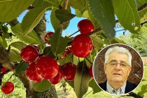 "Svibanj hladan - seljak neće biti gladan" stara je izreka, a što kaže prognoza?