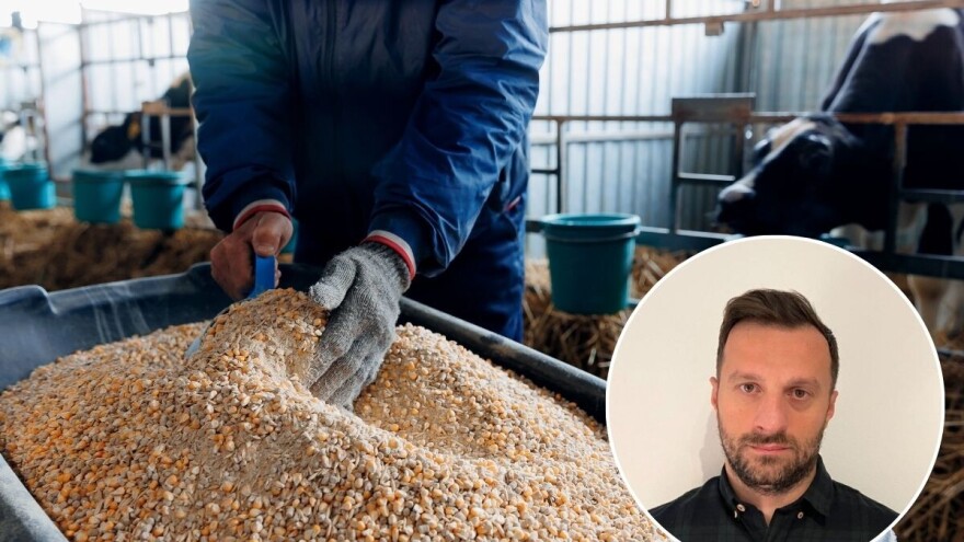 Cijena pšenice na najvišem nivou od oktobra, rast bilježi i kukuruz, šta očekivati u 2025.?