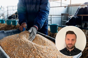 Cena pšenice na najvišem je nivou od oktobra, rast beleži i kukuruz, šta očekivati u 2025.?