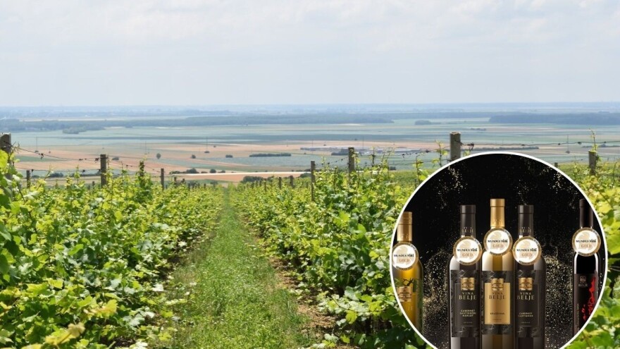 Pobrali medalje: Vina Belje ostvarila najveći uspjeh u povijesti vinarije