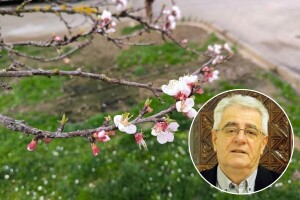 Na pojavu prvog proljetnog mraza nismo dugo čekali, što donosi astronomsko proljeće?