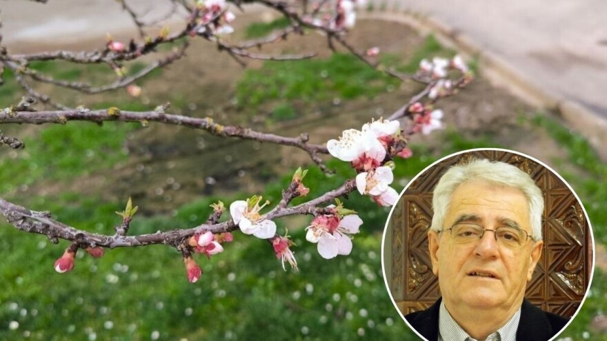 Na pojavu prvog proljetnog mraza nismo dugo čekali, što donosi astronomsko proljeće?