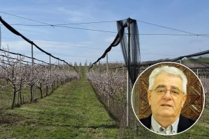 Opasnost od pojave mraza nije prošla, pripremite se na novu