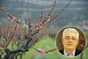 Pripremite se - prvo suho i toplo, a zatim osjetno zahladnjenje s ponovnom pojavom mraza