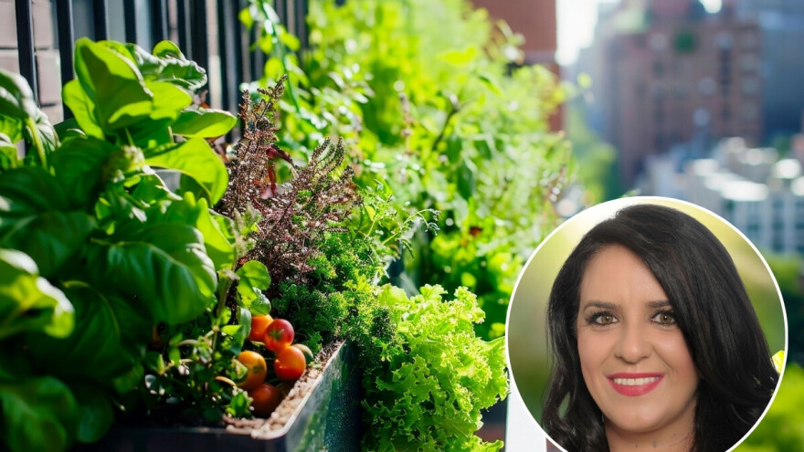 Paradajz, jagode, paprika na balkonu - može! Prijavite se na besplatnu radionicu