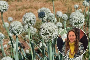 Male tajne iskusne čuvarice sjemenja Marcele Velfl - kako dobiti otporno sjeme?