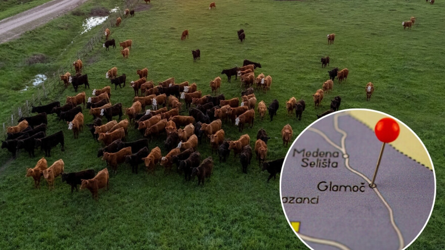 Domaćin iz Glamoča otkrio detalje o pokušaju krađe krava: "Lopov je triput potezao nož"