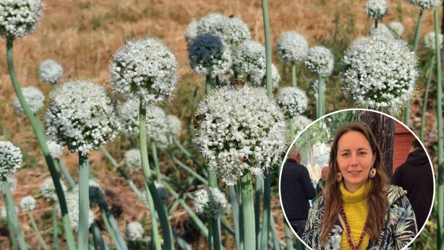 Male tajne iskusne čuvarke semena Marcele Velfl - kako dobiti otporno seme?