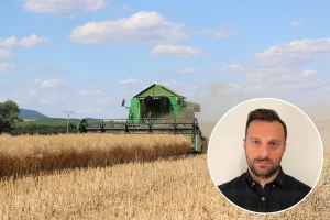 Cijene pšenice i kukuruza ispod psihološkog nivoa, pad bilježi i uljana repica