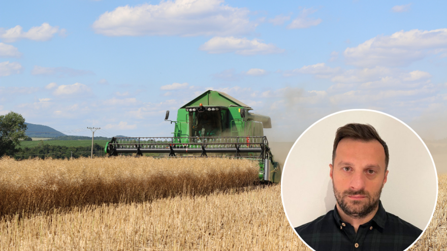 Cijene pšenice i kukuruza ispod psihološkog nivoa, pad bilježi i uljana repica