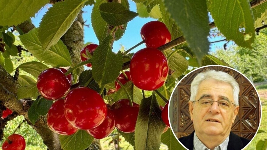 "Svibanj hladan - seljak neće biti gladan" stara je izreka, a što kaže prognoza?