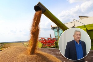 Sramotno niska i neprihvatljiva cena pšenice uoči žetve. Ipak, ima mesta za optimizam