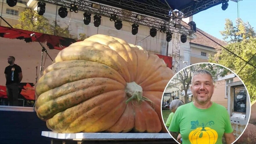 Mađar uzgojio bundevu tešku nevjerovatnih 832 kg