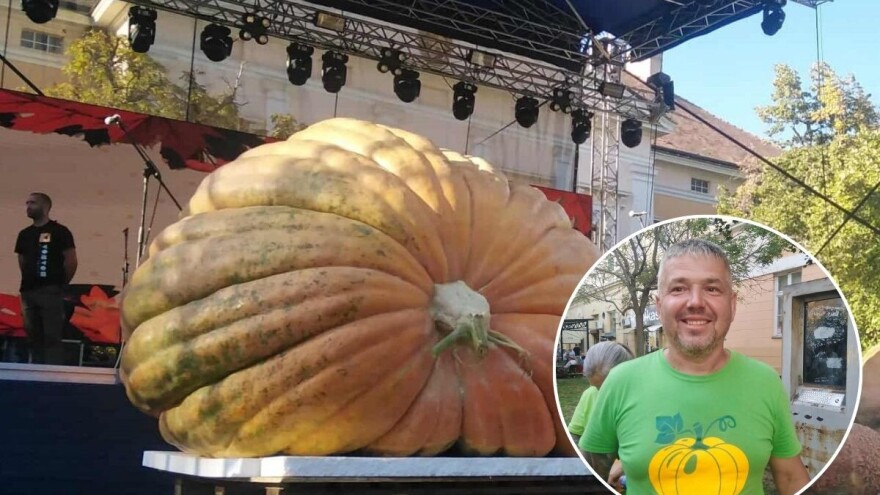 Sa bundevom od 832 kg Tibor Kokai iz Mađarske opet pobedio na Danima ludaje